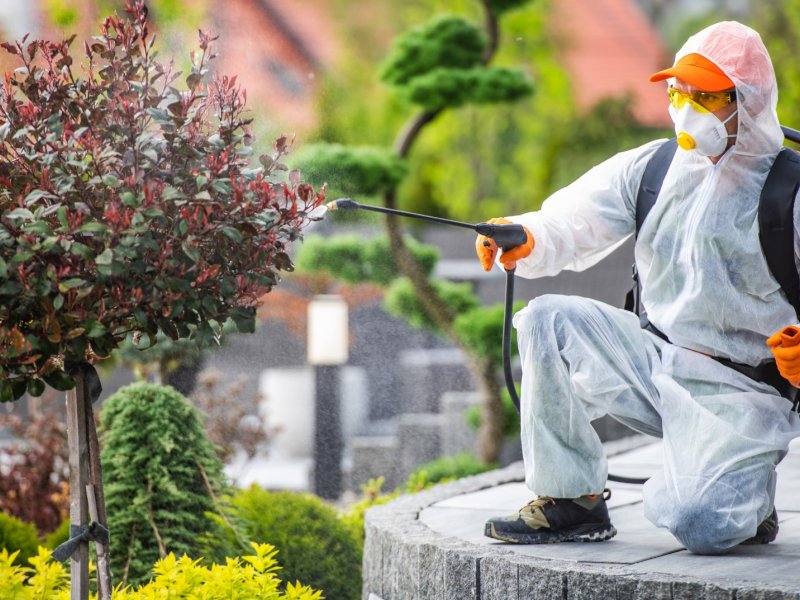 Devrek Haşere İlaçlama